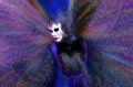 25 - la princesse papillon - LOMBAERTS Paul - belgium